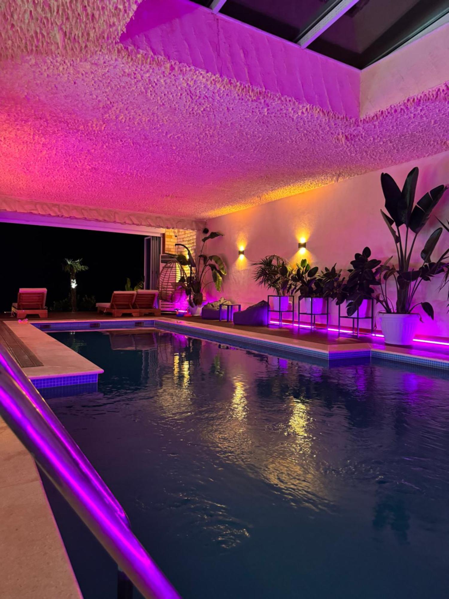 Festim Hotel Kanine